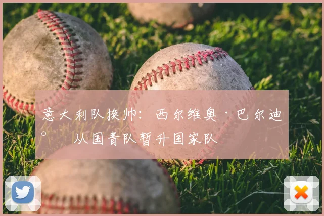 意大利队换帅:西尔维奥·巴尔迪尼从国青队暂升国家队